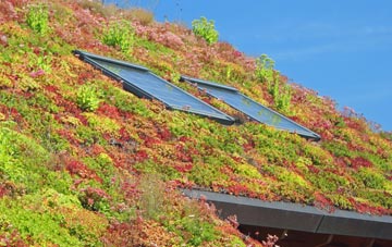 Cowhorn Hill living roof systems